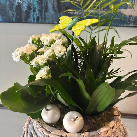 Zur Krone